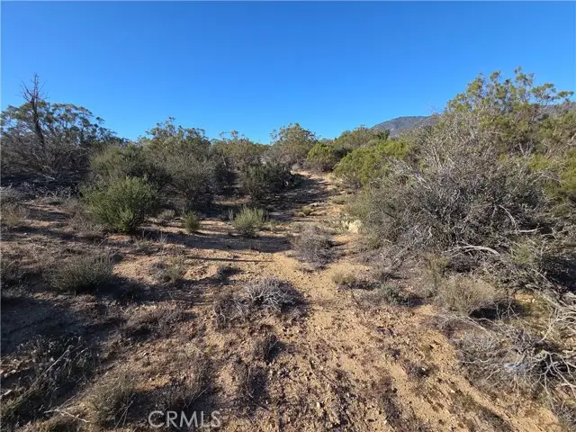 56660 Knollwood, Anza, CA 92539 - #3