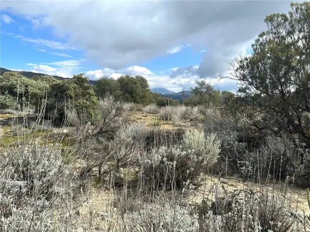 0 Oak Road, Anza, CA 92539 - #1