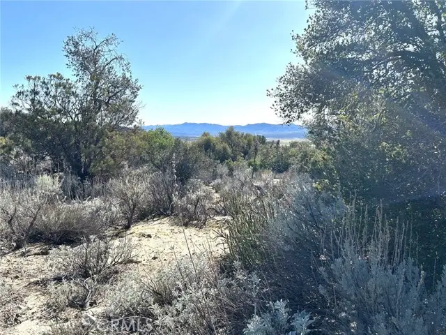 0 Oak Road, Anza, CA 92539 - #2