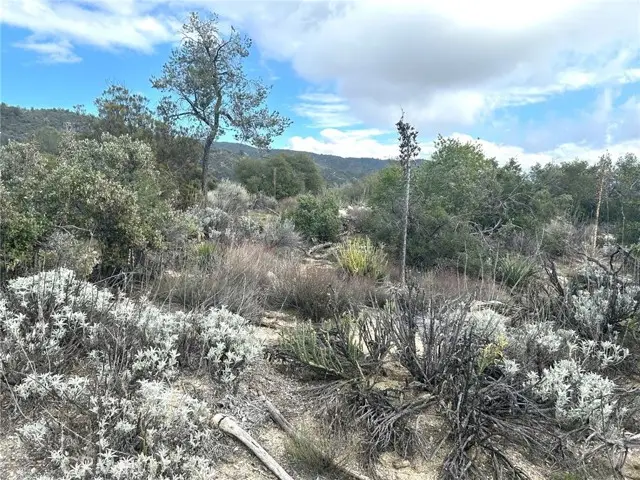 0 Oak Road, Anza, CA 92539 - #3