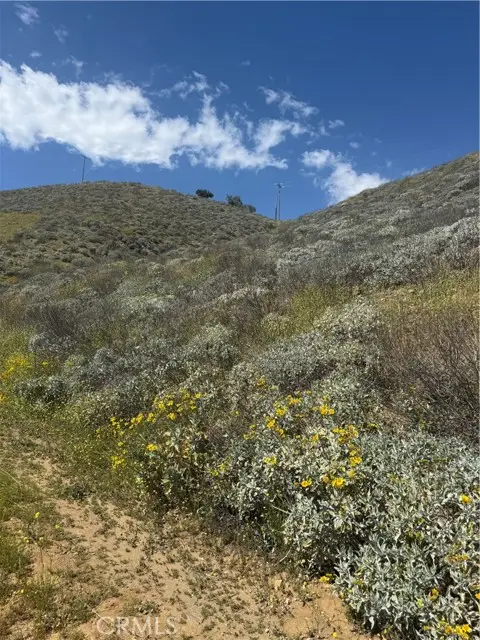 0 MILL Street, Anza, CA 92530 - #1