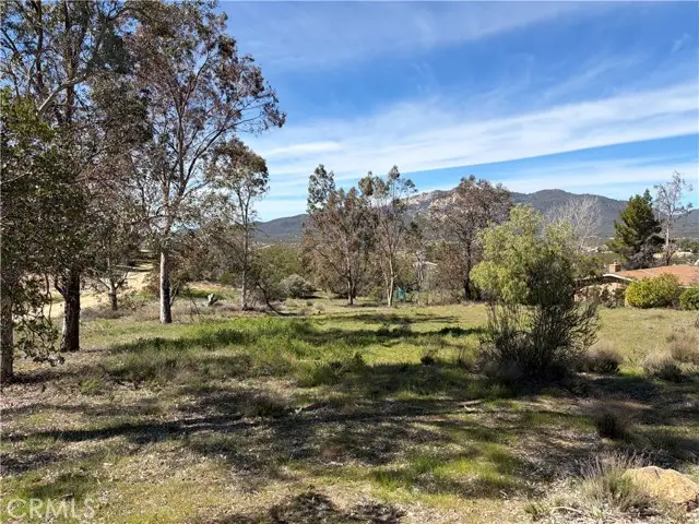 39175 Boulder Drive, Anza, CA 92539 - #3