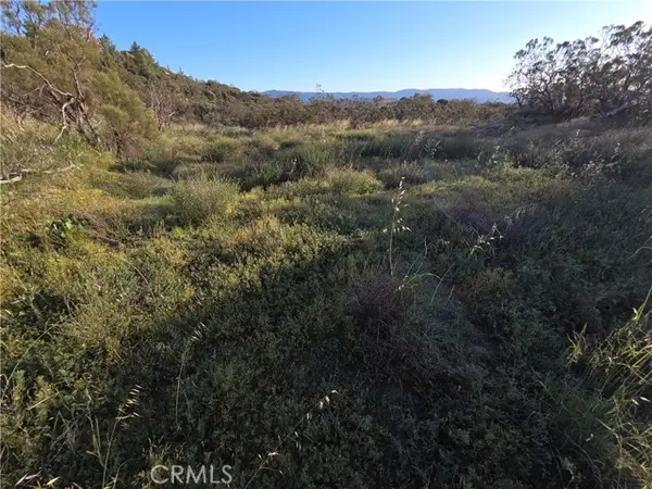 1007 Roan Way, Aguanga, CA 92536