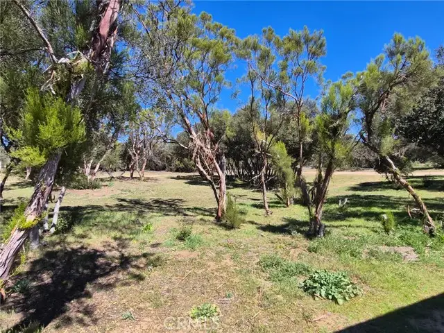 38295 Indian Road, Anza, CA 92539 - #3