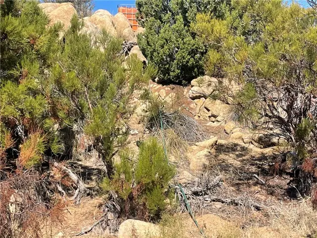 44813 Broken Wheel, Anza, CA 92539 - #2