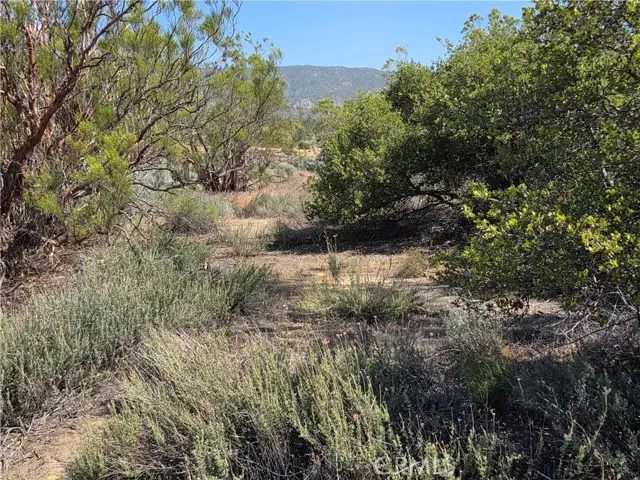 56941 Cain, Anza, CA 92539 - #1