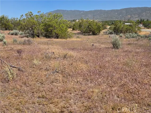 56941 Cain, Anza, CA 92539 - #2
