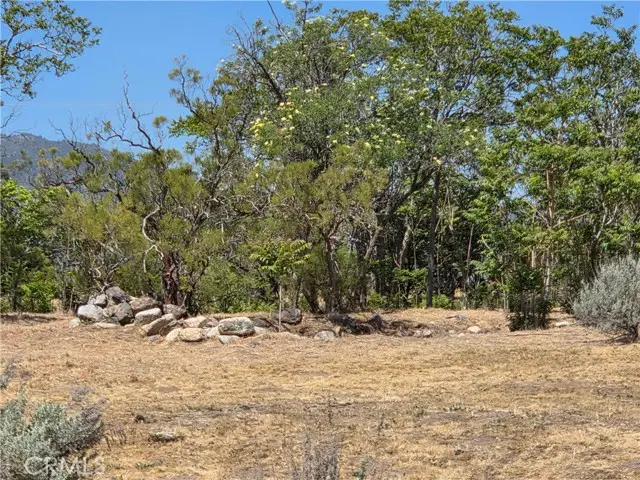 37230 Bautista Canyon, Anza, CA 92539 - #1