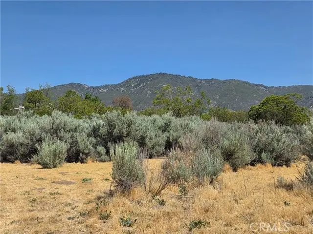 37230 Bautista Canyon, Anza, CA 92539 - #3