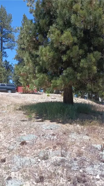 39237 Crest Lane, Big Bear Lake, CA 92315 - #2