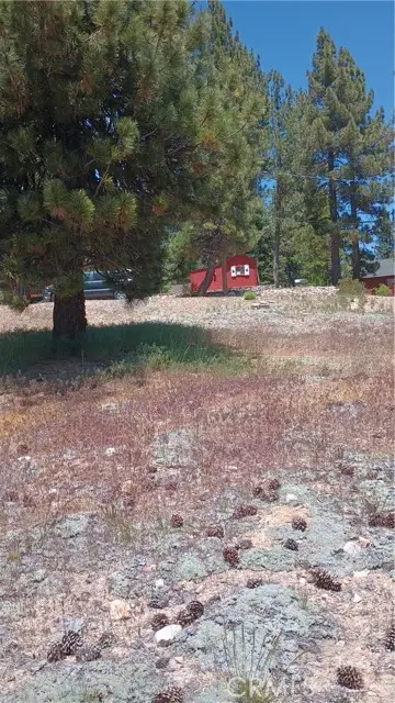 39237 Crest Lane, Big Bear Lake, CA 92315 - #3