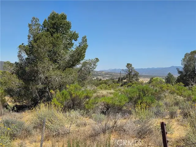 37310 Bohlen, Anza, CA 92539 - #2