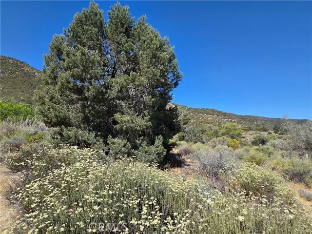 37210 Bohlen, Anza, CA 92539 - #2