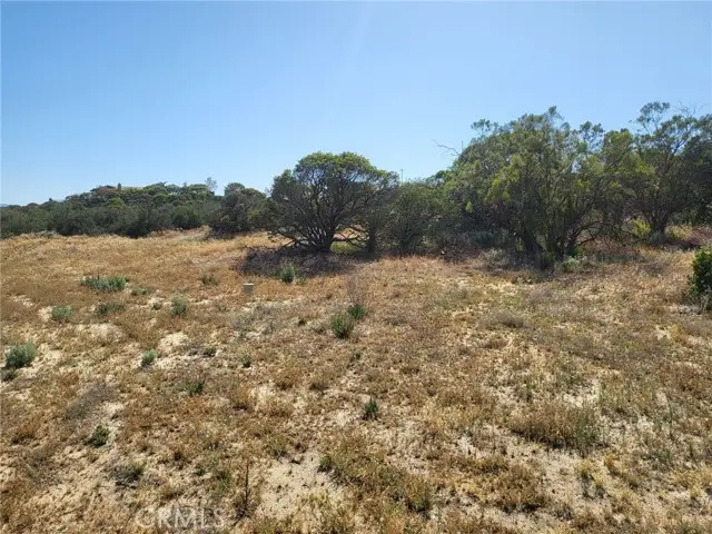 887 Forest Springs Road, Aguanga, CA 92536 - #2