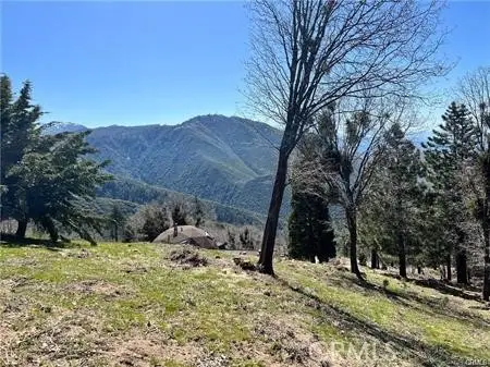 41 Fredalba Road, Running Springs, CA 92382