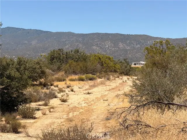 90002 Wellman, Anza, CA 92539 - #3