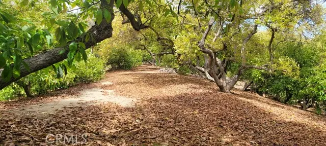 16 Camaron, Temecula, CA 92590 - #1