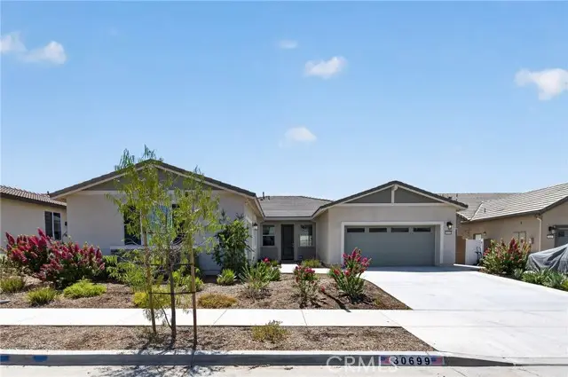 30699 Pitch Pine Dr, Homeland, CA 92548 - #2