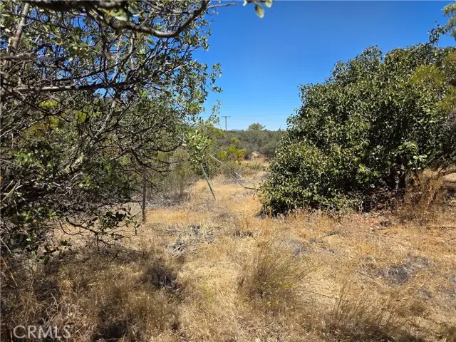 1 Terwilliger, Anza, CA 92539 - #3