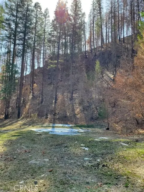 0 Little Seneca, Canyon Dam, CA 95923 - #3