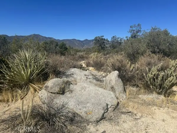 319 Alpine Dr, Mountain Center, CA 92561