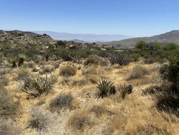 7 Carrizo Road, Mountain Center, CA 92561