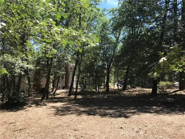 0 North Shore Road, Lake Arrowhead, CA 92352