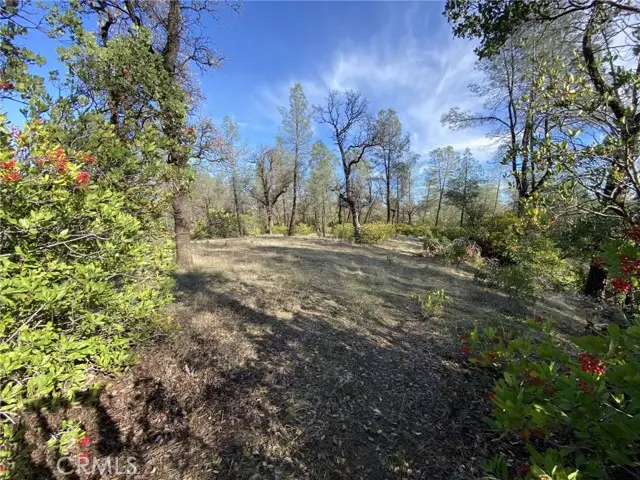 15785 Placer Court, Corning, CA 96021 - #2