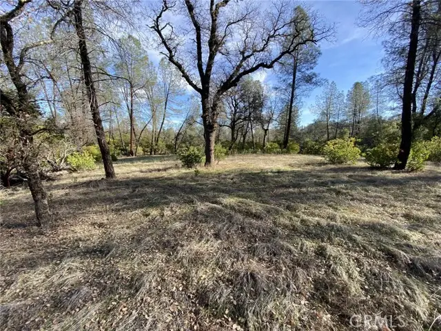 15785 Placer Court, Corning, CA 96021 - #3