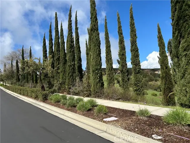 16567 Vellano Club Dr, Chino Hills, CA 91709 - #1