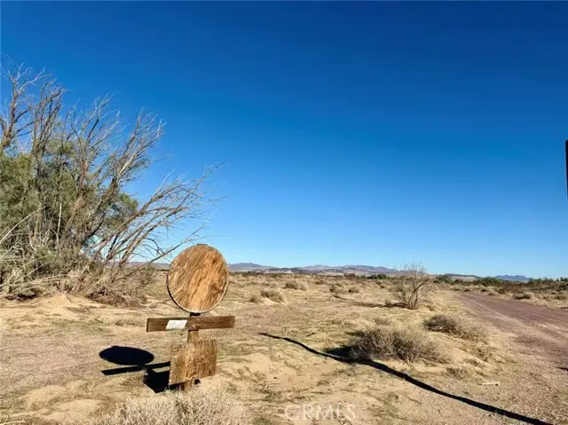 32467 Lakeview, Newberry Springs, CA 92365 - #3