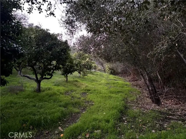 26055 Avenida Del Oro, Temecula, CA 92590 - #2