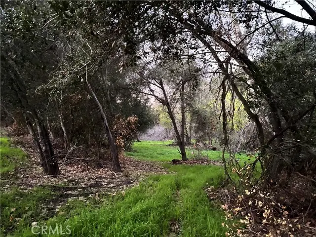 26055 Avenida Del Oro, Temecula, CA 92590 - #3