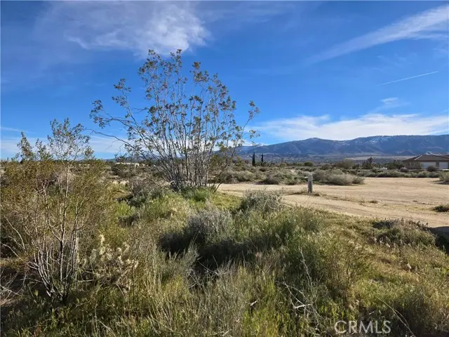 0 Mountain Road, Pinon Hills, CA 92372 - #1