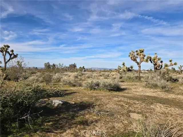 0 Mountain Road, Pinon Hills, CA 92372 - #3