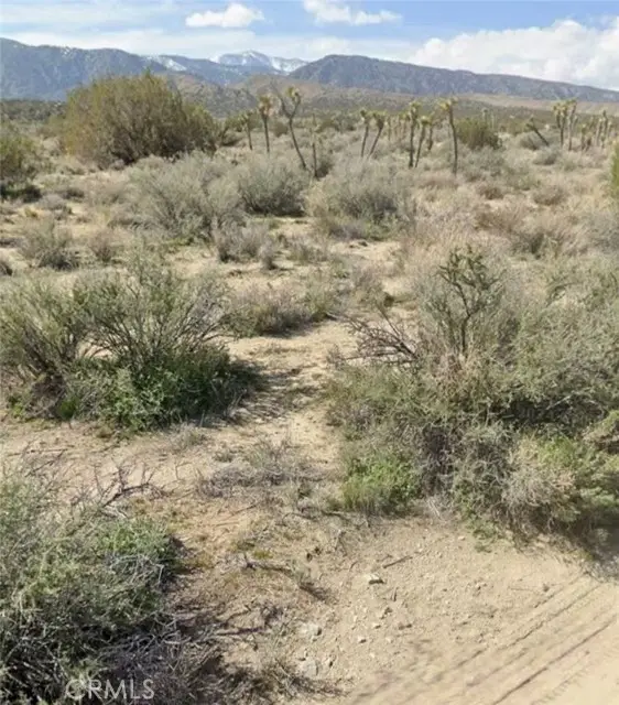 0 Avenue Z, Llano, CA 93544