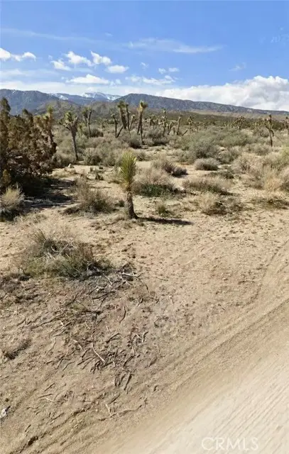 0 Avenue Z, Llano, CA 93544 - #2