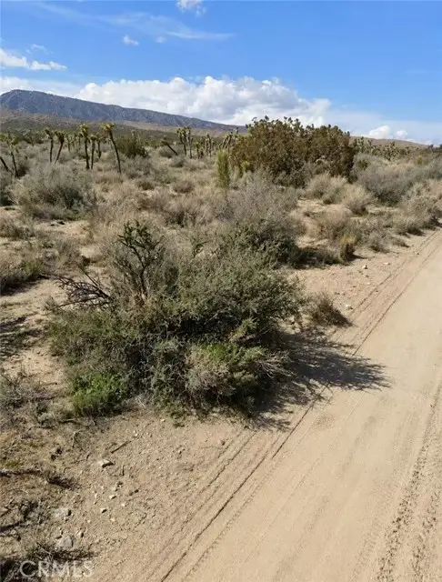 0 Avenue Z, Llano, CA 93544 - #3