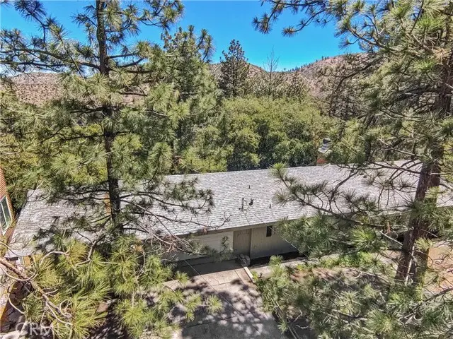5215 Lone Pine Canyon Drive, Wrightwood, CA 92397 - #3