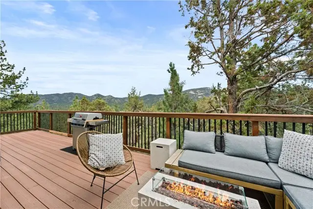 205 Starr Drive, Big Bear City, CA 92314 - #2