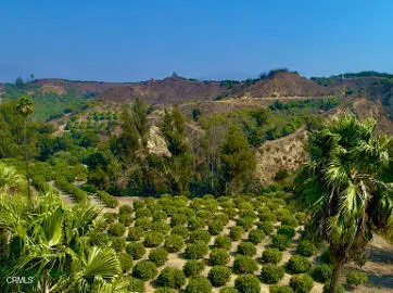 0 Foothill Road, Santa Paula, CA 93060 - #1