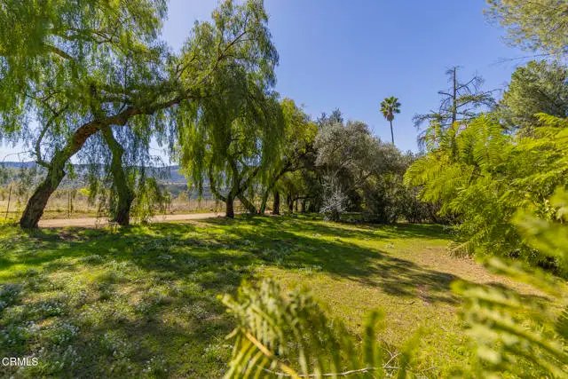 1320 McAndrew Road, Ojai, CA 93023 - #3