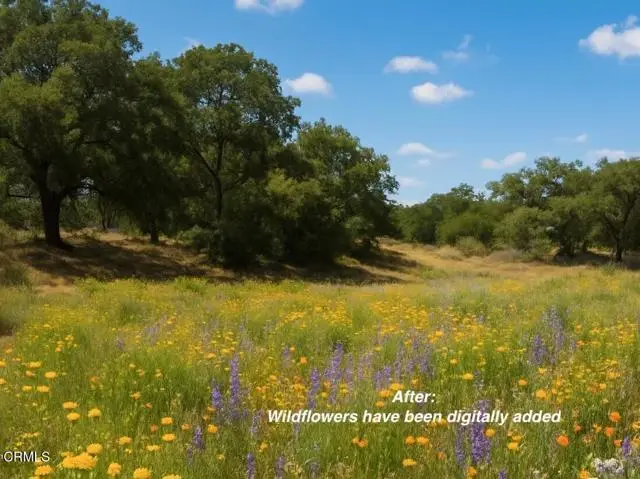 0 Burnham Road, Ojai, CA 93023 - #1