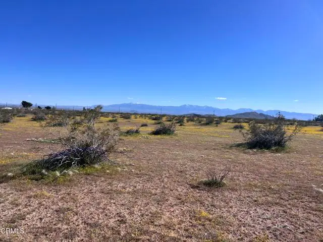 8 8, Lancaster, CA 93535 - #3