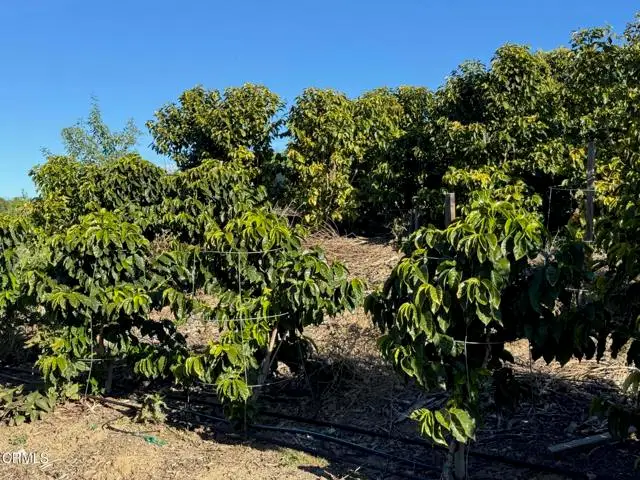 4305 Groves Place, Somis, CA 93066 - #3