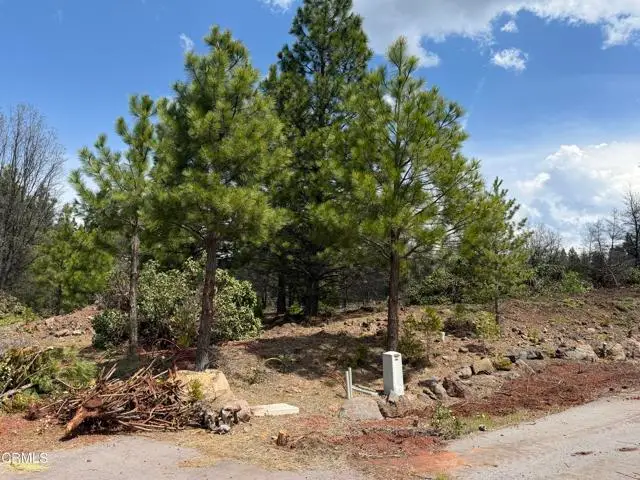 3 Kirby Court, Burney, CA 96013 - #1