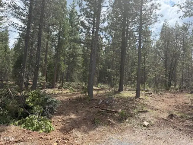 16 Chad Court, Burney, CA 96013 - #3