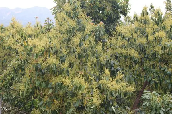 0 Camulos Street, Piru, CA 93040