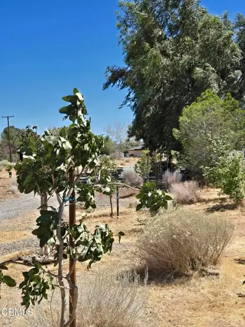 0 Cor 12thw Avenue N-8, Palmdale, CA 93550 - #3