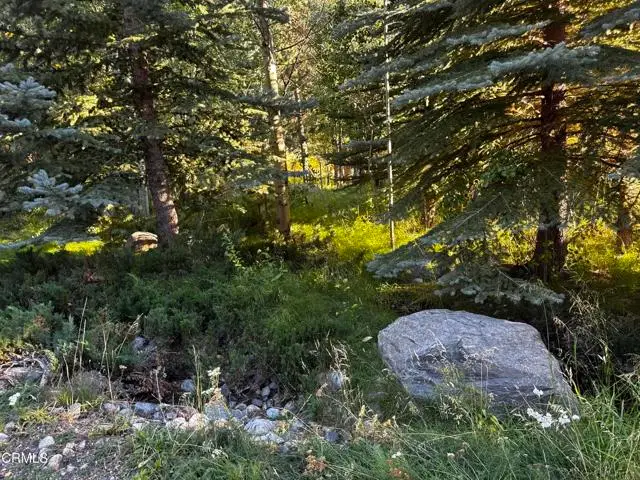 Minaret Road, June Lake, CA 93529 - #1